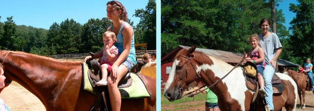 KB on the horse copy