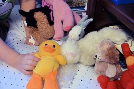 ?????????????????????