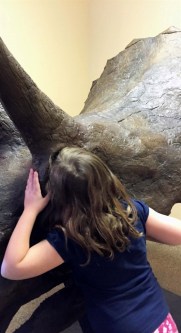 SB2015 - Dinosaur eye and KB head