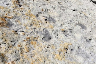 SB2015 - Dinosaur Ridge foot prints