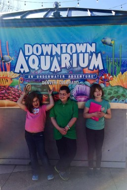 SB2015 - Denver Aquarium