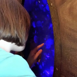 SB2015 - Lily with jellies