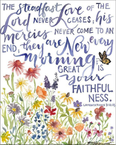 Screen Shot 2018-05-22 at 7.28.32 PM