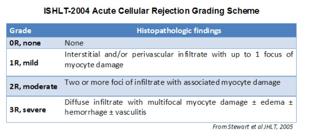 Screen Shot 2018-09-18 at 10.54.45 PM